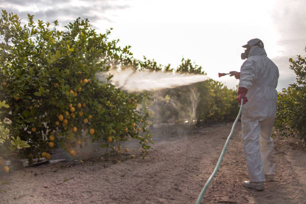 Best Residential Pest Control  in Westwood, MI