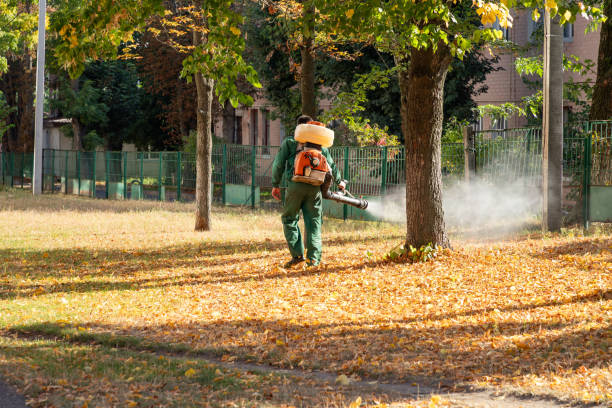 Best Emergency Pest Control  in Westwood, MI