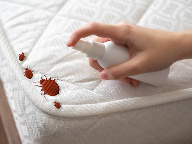 Best Best Pest Control Companies  in Westwood, MI