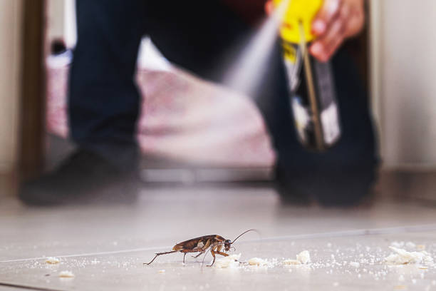Pest Control Cost in Westwood, MI
