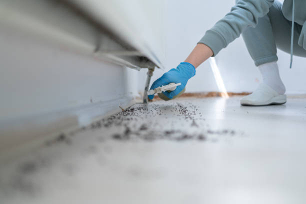 Best Pest Control Near Me in Westwood, MI