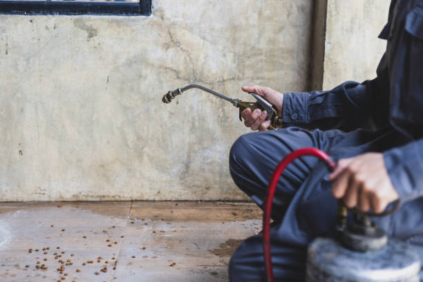 Best Affordable Pest Control Services  in Westwood, MI